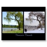 Vancouver Postcards - Vancouver Canada Souvenir Postcards