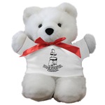 Vancouver Souvenir Teddy Bear