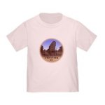 Vancouver BC Souvenir  Infant / Toddler Baby T-Shirt