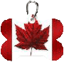 Canada Souvenir Dog Tags 