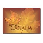 Canada Souvenir Postcards Canadian Maple Leaf Cards