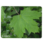 Personalized Canada souvenir journals notebooks sketchpads diaries and logbooks collection.