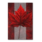 Canada postcards, Canadian Maple Leaf souvenir postcards Art Postcards 8 Pack Maple Leaf 