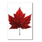 Canada Maple Leaf postcards Art Souvenir Postcards 8 Pack Canadian Souvenir Postcards. Beautiful Canada Maple Leaf Art Postcards & Gifts