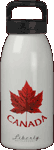 Canada Souvenir Water Bottles