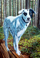 painted dog portrait from photos