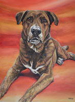 painted pet portrait from photographs, custom dog painting original dog / pet painting from your photos by Vancouver artist / designer Kim Hunter