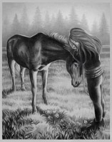 In Loving Memory Horse Portrait Horse Sketch Horse w. Woman Sketch from Photographs