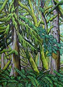 Old growth forest Landscape painting, Canadian landscape painting, Original landscape moss covered trees painting west coast old growth forest arcylic painting on watercolour paper Original paintings for sale by contemporary Canadian Artist Kim Hunter / INDIGO