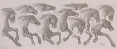 Pencil Sketch for Mural Horse Concept drawing for a mural on a bar at Diavlo's restaurant pencil drawing  by contemporary Canadian Artist INDIGO aka Kim Hunter