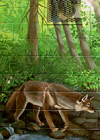 Wildlife Canadian  Landscape Painting Mural Artist Vancovuer BC Hyde Creek Mural Artist Kim Hunter