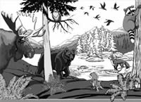 Wildlife Design for Wall Mural Childrens Landscape & Wiildlife Mural Illustration and design by Vancouver Artist Kim Hunter / Indigo