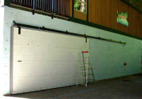 Wildlife Mural Hyde Creek Wall Mural Port Coquitlam BC Landscape / Wildlife Mural Painting by Vancouver Artist Muralist Kim Hunter