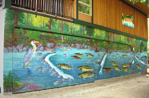 Wildlife Mural Hyde Creek Wall Mural Port Coquitlam BC Landscape / Wildlife Mural Painting by Vancouver Artist Muralist Kim Hunter