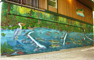 Wildlife Mural Hyde Creek Wall Mural Port Coquitlam BC Landscape / Wildlife Mural Painting by Vancouver Artist Muralist Kim Hunter