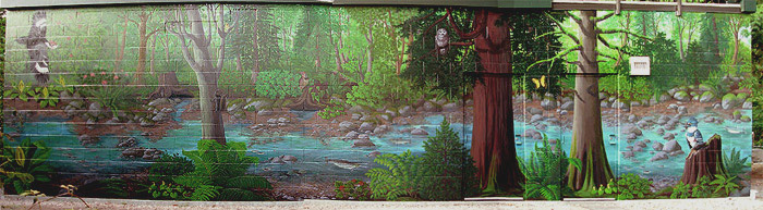 Wildlife Mural Vancouver Artist Muralist - Hyde Creek Wall Mural Port Coquitlam BC Landscape / Wildlife Mural Painting by Vancouver Artist Muralist Kim Hunter