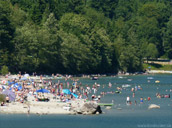 Alouette Lake Beach Maple Ridge Landscape Photo