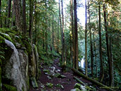 Cypress Falls West Vancouver Waterfall Lanscape Photo 