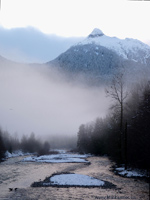 Brackendale Eagles Cheekamus River Winter Landscape Photo 