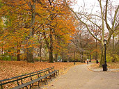 Central Park Autumn Landscape Photo Manhattan New York