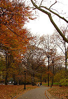 Central Park Autumn Photo Manhattan New York