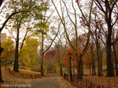 Central Park Landscape Photo Autumn Photo Manhattan New York