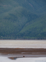 Gingolx BC Great Bear Rainforest Seascape Mountainscape