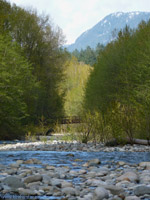 Lynn Valley Riverscape BC Landscape Photo 