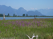 Pitt Lake Maple Ridge BC Landscape Photo