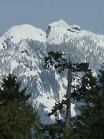 Snow Capped Mountain w. Eagle Vancouver Landscape Photo 