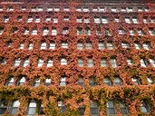 Sylvia Hotel Autumn Vancouver Canada 