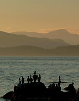 English Bay Seascape Photo Vancouver Canada
