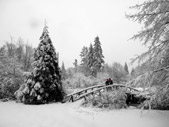 Winter Wonderland Landscape Photo Stanley Park Vancouver Canada 
