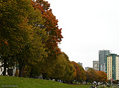 English Bay Vancouver Autumn Landscape Photo 