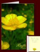 Personalized Flower Greeting Cards - Roses, Buttercups, Daisies, Daffodils and Sunflower Custom Flower Cards for Birthdays, Thank You Cards, Sympathy, Romantic, Congratulations, Get Well, Weddings, Anniversary, New Baby, Customize your Greeting Cards Online. 