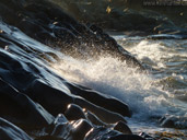 Arctic Seascape Canadian Landscape Photo