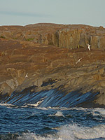 Precambian Bedrock Churchill Canadian Landscape Photo 