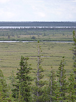 Arctic Tundra Canadian Landscape Photo