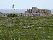 Arctic Tundra Canadian Landscape Photo