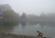 Coal Harbour Misty Morning Landscape Photo Stanley Park Vancouver 