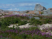 Devil's Rock Arctic Landscape Photo 