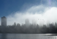 Lost Lagoon Mist Vancouver Landscape Desktop Image 