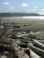Long Beach West Coast Vancouver Island BC Canada