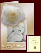 White Rose Cards & Gifts - Customized White Rose Cards Rose Gifts Prints, Decor & Keepsakes Online 