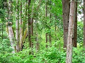 grain elavator landscape photograph Grain Elevator Prairie fields in Southern Manitoba, Minnedosa, Brandon, Canola Field.