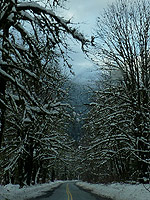 Paradise Valley Winter Road Photo Squamish Canada 