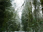 Paradise Valley Winter Road Photo Free Desktop Images 