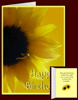 Personalized Flower Greeting Cards - Roses, Buttercups, Daisies, Daffodils and Sunflower Custom Flower Cards for Birthdays, Thank You Cards, Sympathy, Romantic, Congratulations, Get Well, Weddings, Anniversary, New Baby, Customize your Greeting Cards Online. 