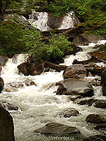 Shannon Falls BC Canada Landscape Photo Waterfalls
