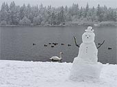 Snowman Lost Lagoon Winter Landcape Photo 